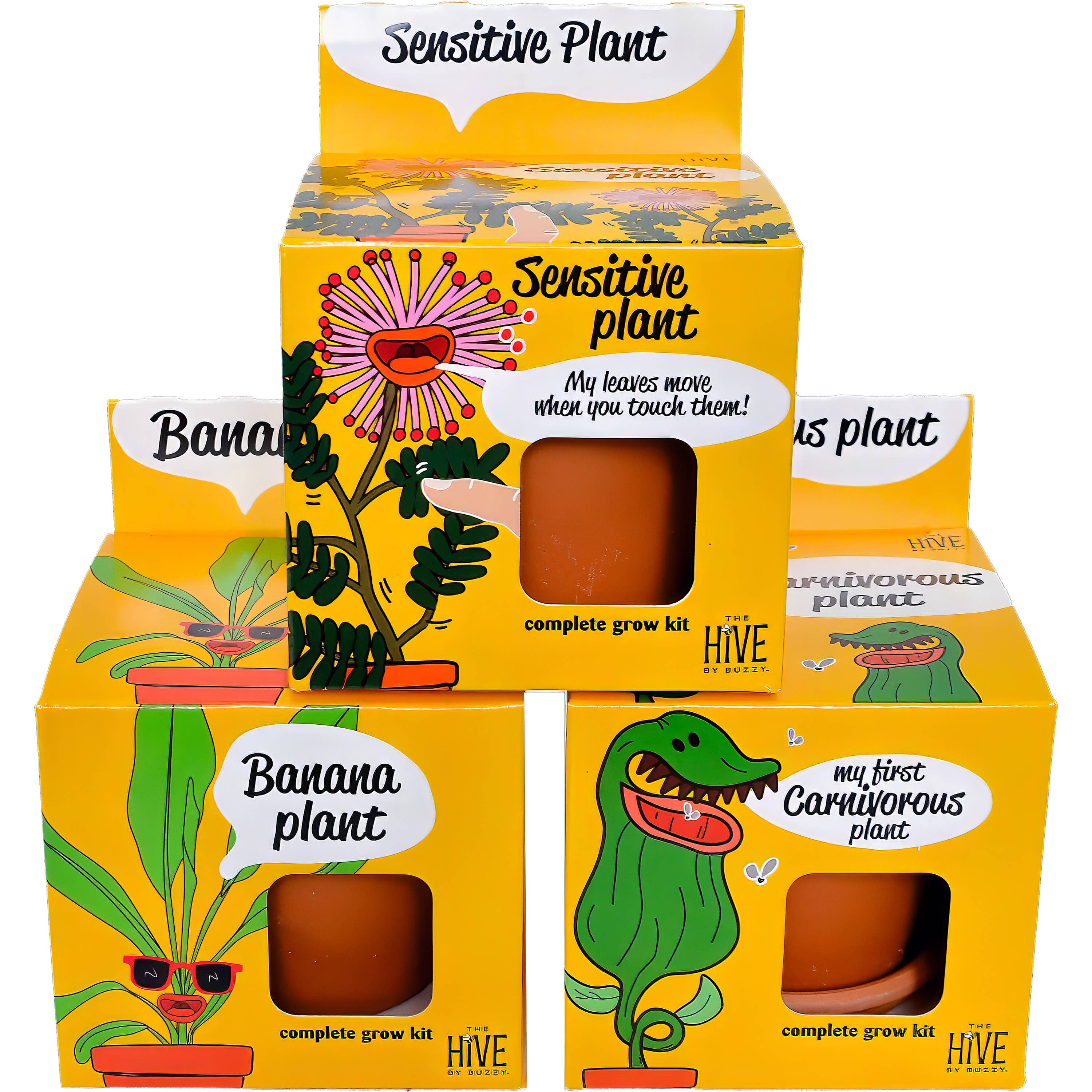 Exotic Banana Plant Grow Kit | Indoor