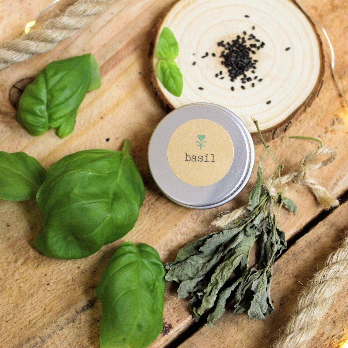 Grow a Basil Plant Seed Kit