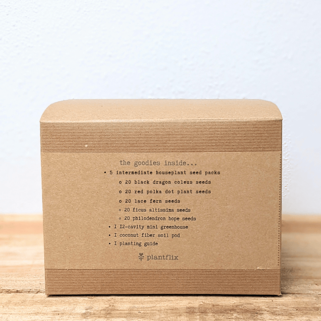 "Grow an Indoor Jungle" Houseplant Seed Kit