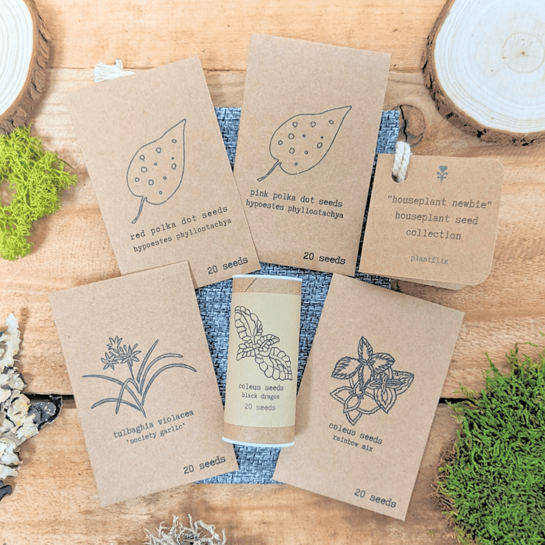 "Houseplant Newbie" Houseplant Seed Collection