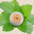 Lemon Balm Seeds