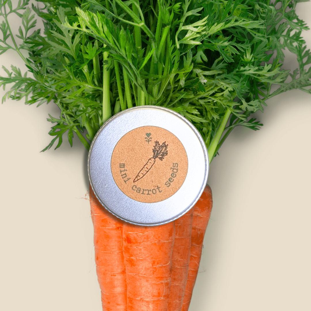 Organic Carrot "Little Fingers" Seeds