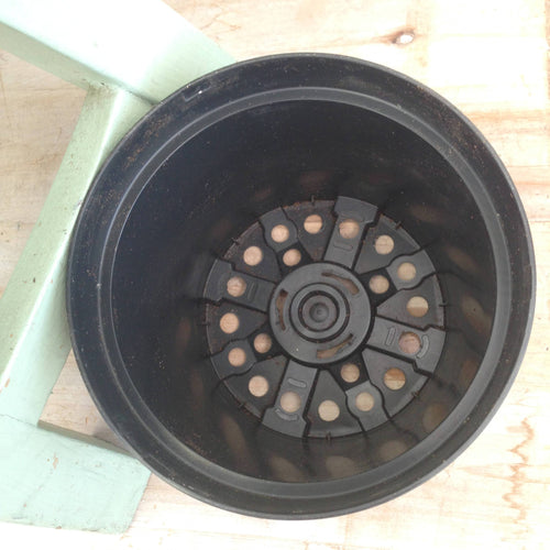 4" Growing Pot